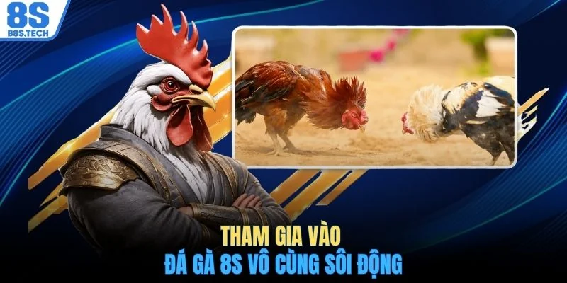 Tham gia vào đá gà 8S vô cùng sôi động